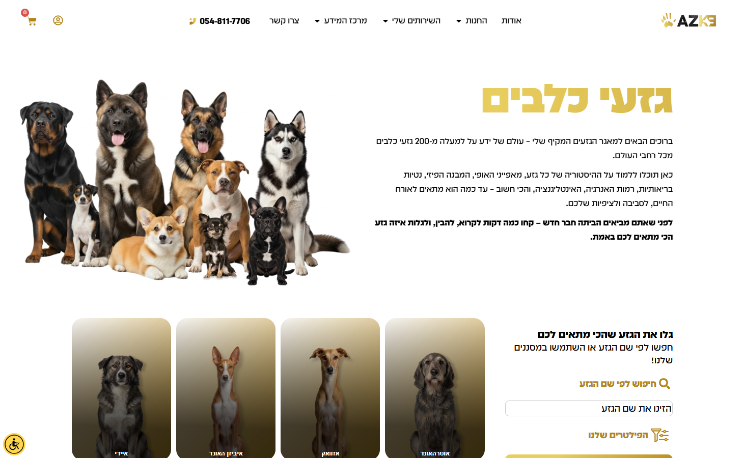 צילום מסך 2025-12-08 173726