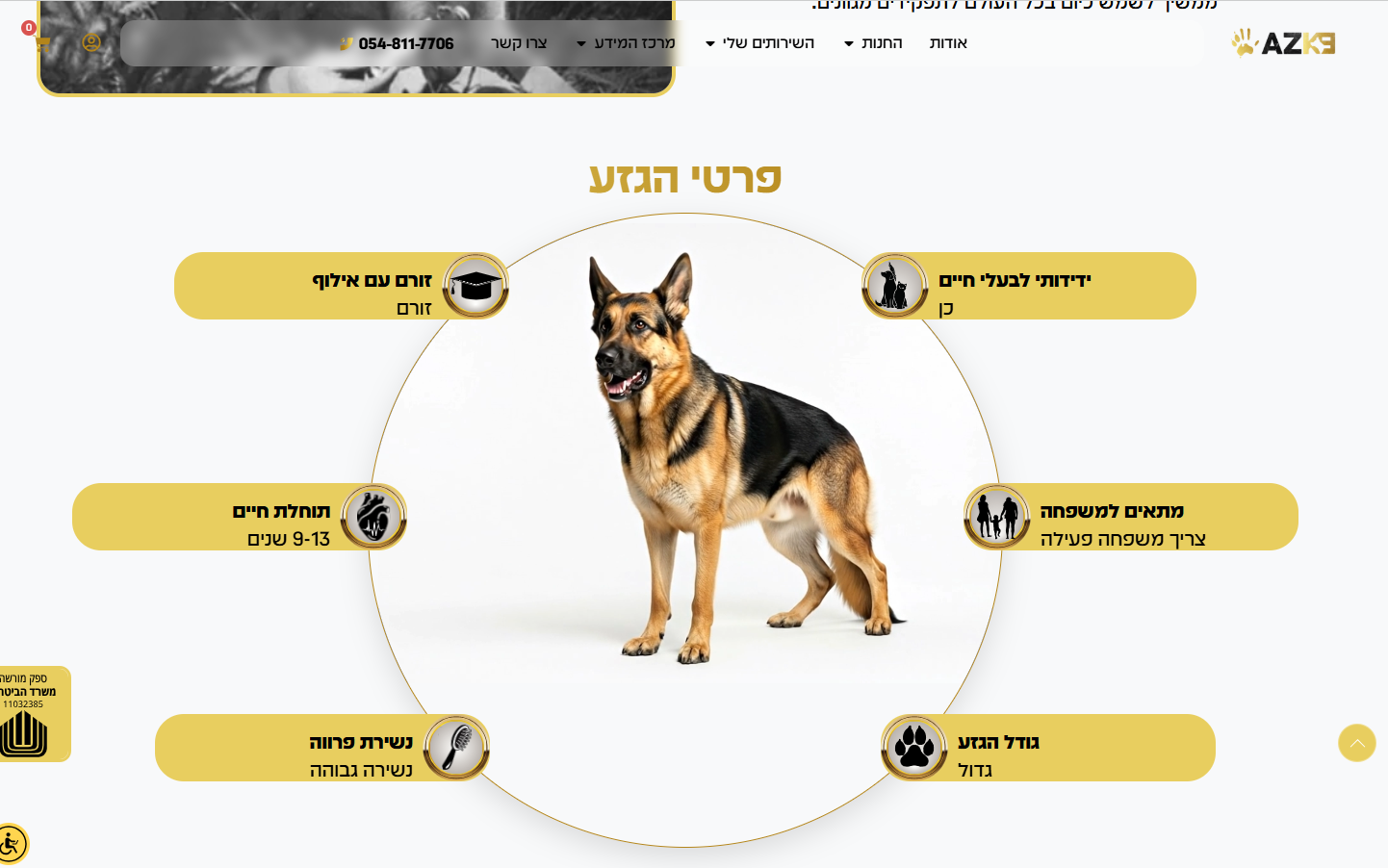 צילום מסך 2025-12-08 173930