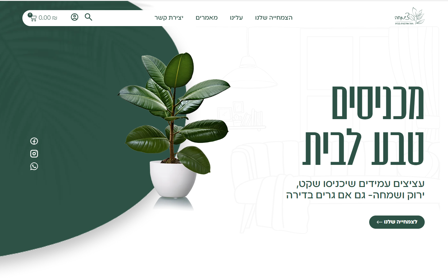 צילום מסך 2025-12-08 182019