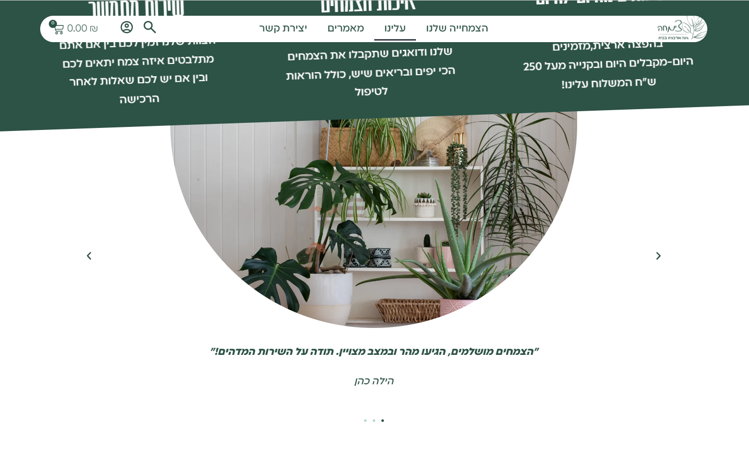 צילום מסך 2025-12-08 182910