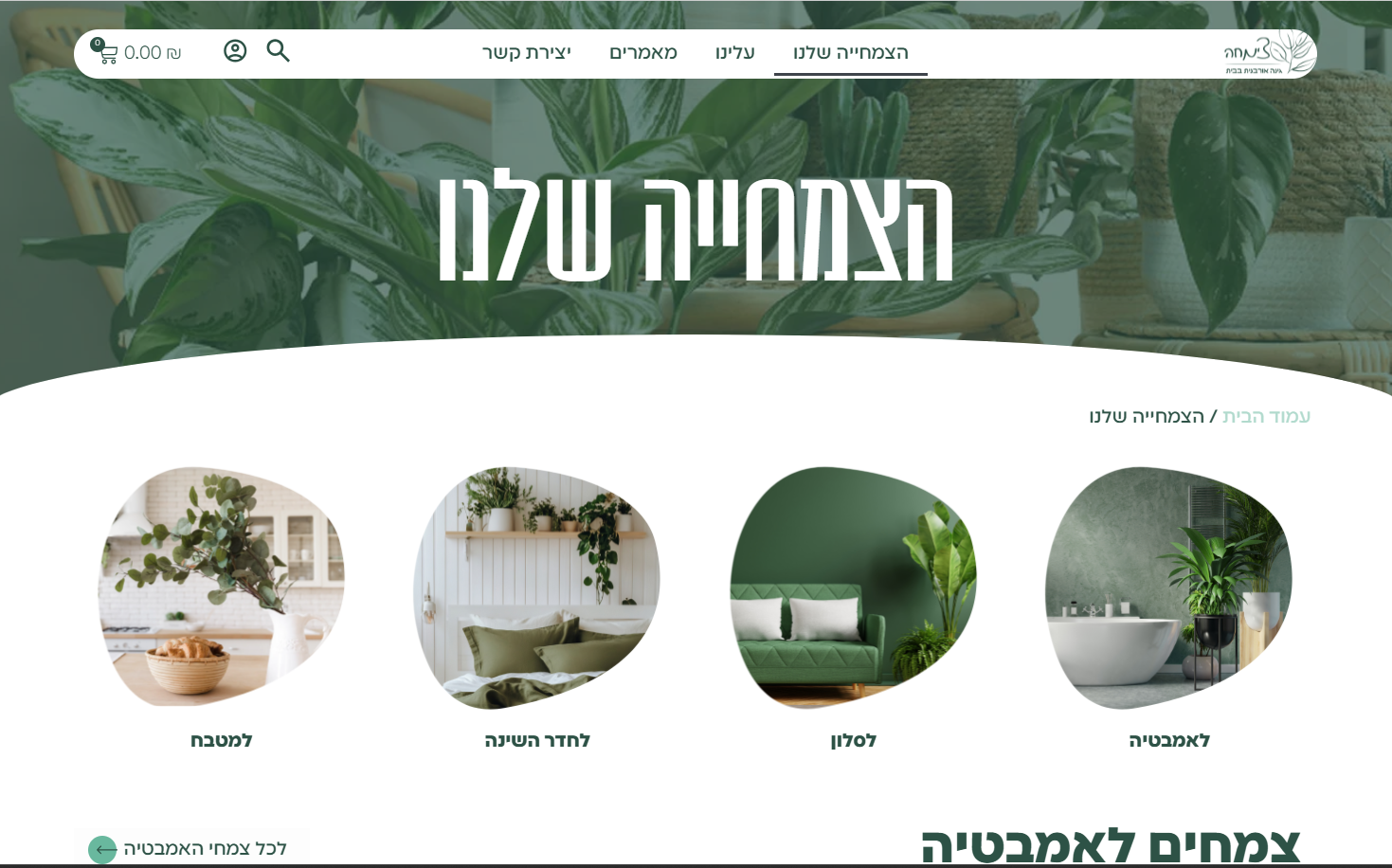 צילום מסך 2025-12-08 183313